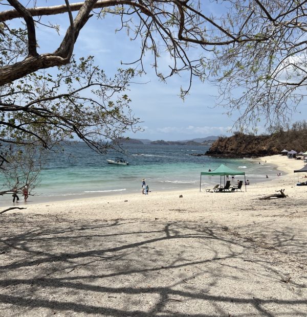 BEACH HOPPING WITH PRIVATE DRIVER