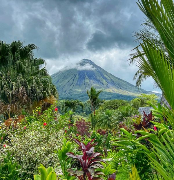 ARENAL VOLCANO ZIPLINING & HOT SPRINGS