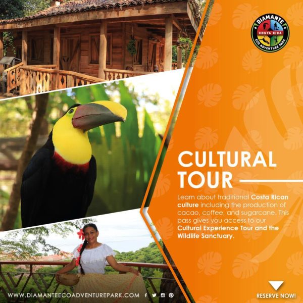 WhatsApp Image 2024-10-26 at 10.55.16 AM (3)